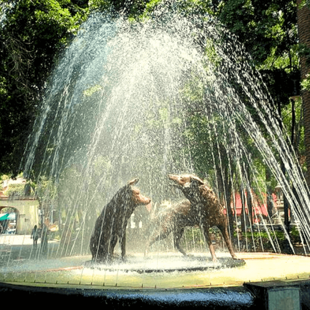 Coyoacán