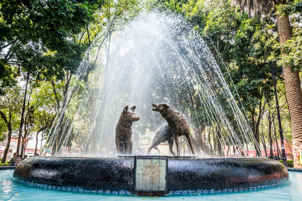 Fuente de los coyotes